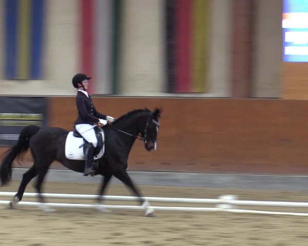 Reitturnier Weikersdorf 2023