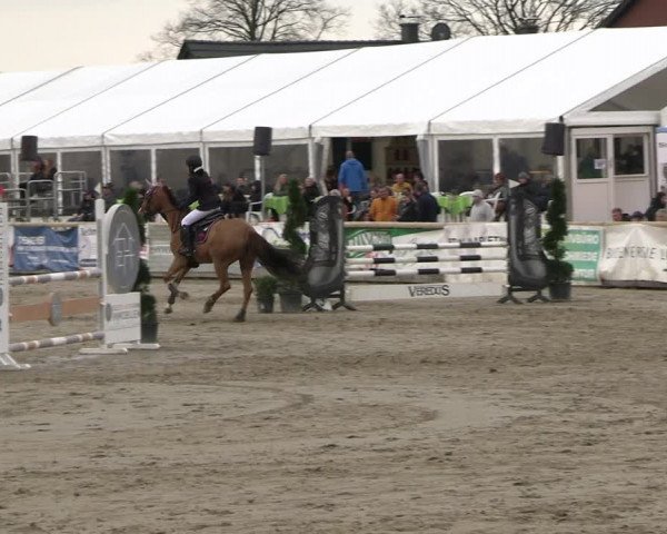 Reitturnier Werne-Lenklar 2023