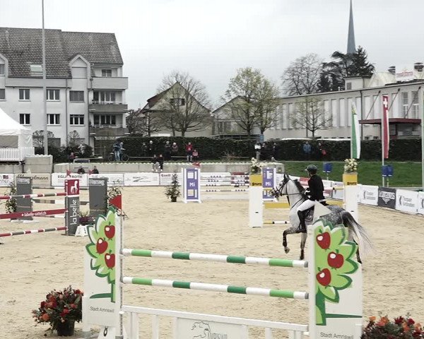 Reitturnier Amriswil 2023