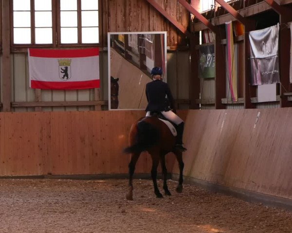 Reitturnier Elisenau 2023