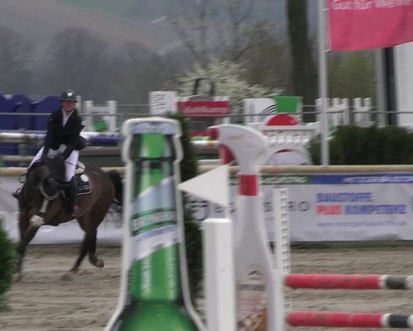 Reitturnier Werne-Lenklar 2023