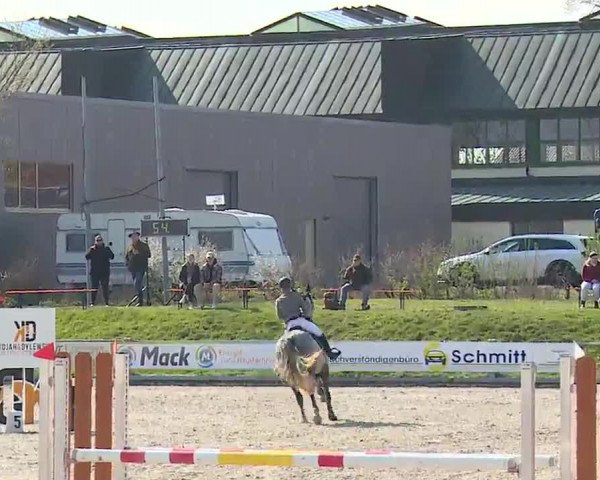 Reitturnier Grafenrheinfeld/Ufr. 2023