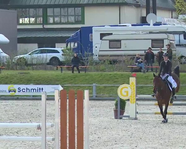 Reitturnier Grafenrheinfeld/Ufr. 2023