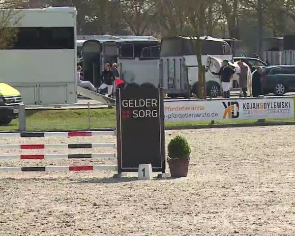 Reitturnier Grafenrheinfeld/Ufr. 2023