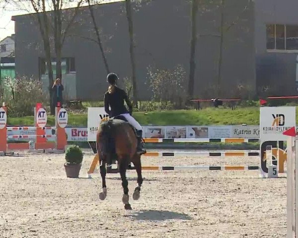 Reitturnier Grafenrheinfeld/Ufr. 2023