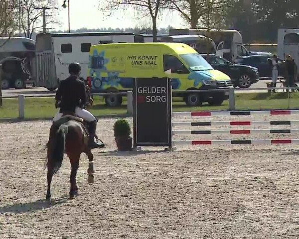 Reitturnier Grafenrheinfeld/Ufr. 2023