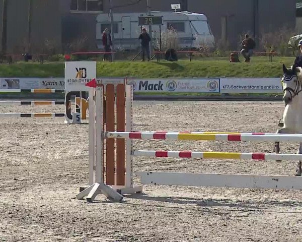 Reitturnier Grafenrheinfeld/Ufr. 2023