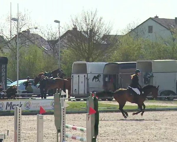 Reitturnier Grafenrheinfeld/Ufr. 2023