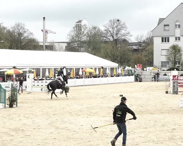 Reitturnier Amriswil 2023