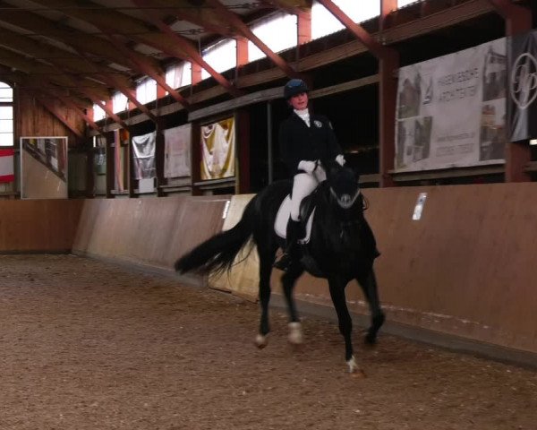 Reitturnier Elisenau 2023