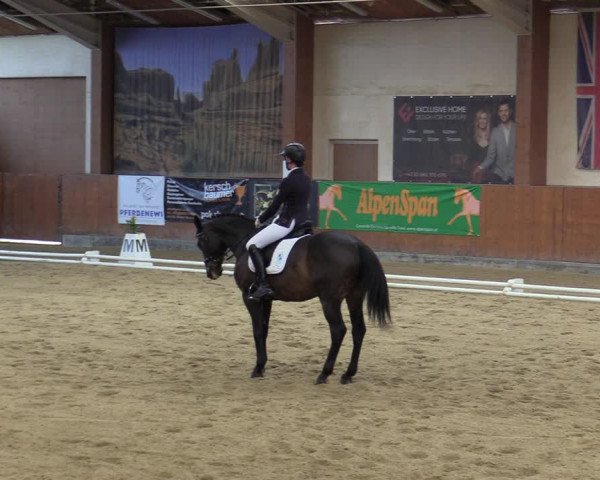 Reitturnier Weikersdorf 2023