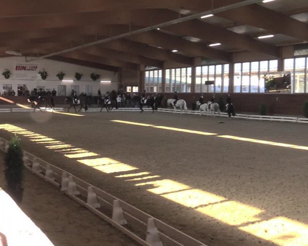 Reitturnier Coesfeld/Lette 2021