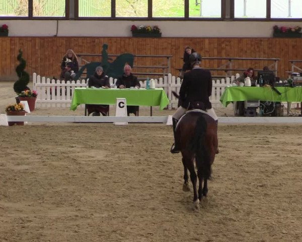 Reitturnier Werne-Lenklar 2023