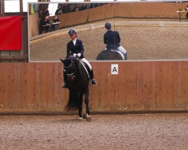 Reitturnier Elisenau 2023