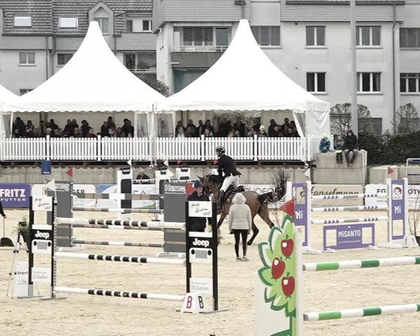 Reitturnier Amriswil 2023