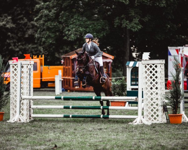 Springpferd Pony 27 (Nederlands Welsh Ridepony, 2005, von Beukenhof's Jordy)