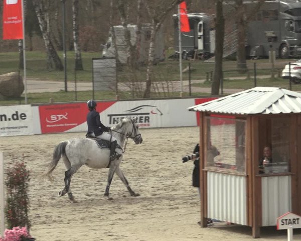 Reitturnier Westergellersen 2023