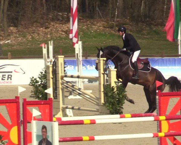 Reitturnier Westergellersen 2023