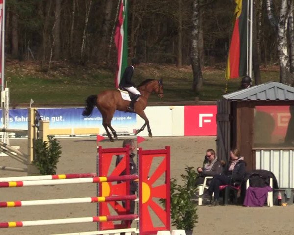 Reitturnier Westergellersen 2023