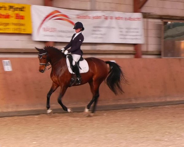 Reitturnier Elisenau 2023
