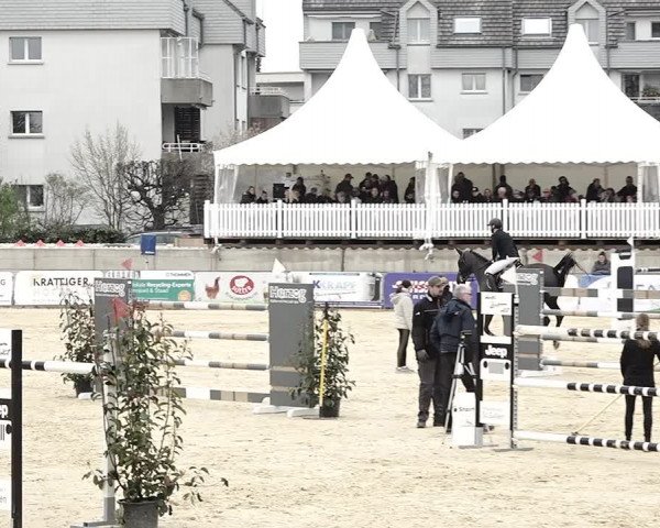 Reitturnier Amriswil 2023