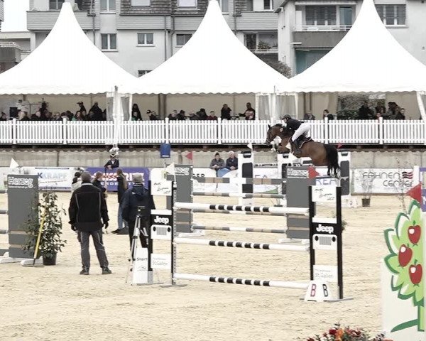 Reitturnier Amriswil 2023
