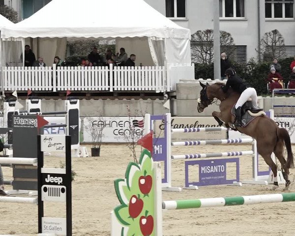 Reitturnier Amriswil 2023