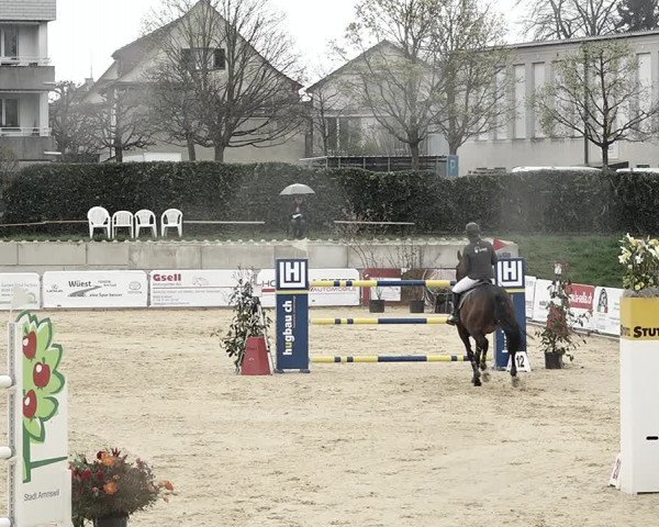 Reitturnier Amriswil 2023