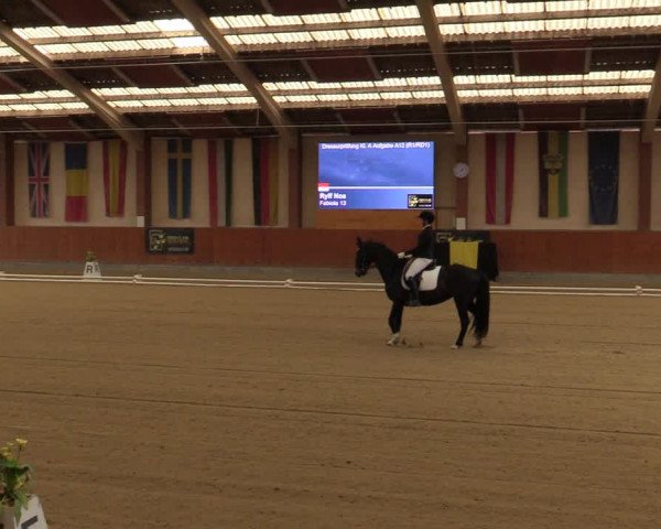 Reitturnier Weikersdorf 2023