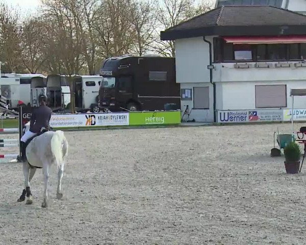 Reitturnier Grafenrheinfeld/Ufr. 2023