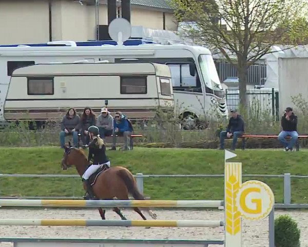 Reitturnier Grafenrheinfeld/Ufr. 2023