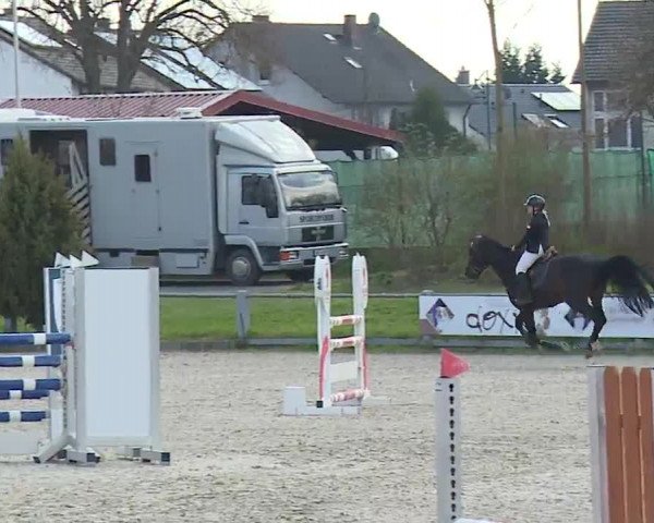 Reitturnier Grafenrheinfeld/Ufr. 2023