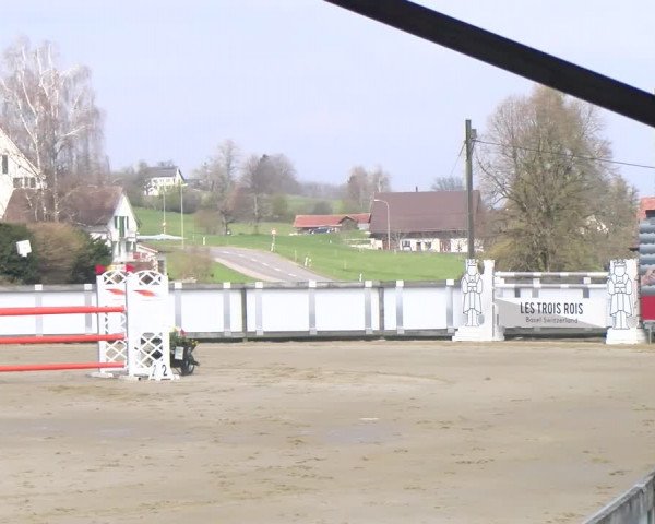 Reitturnier Wädenswil 2023