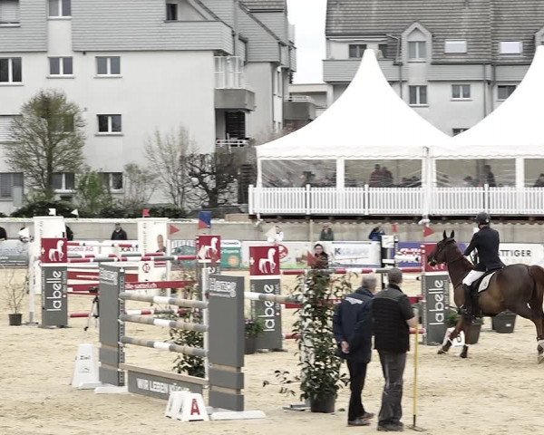 Reitturnier Amriswil 2023