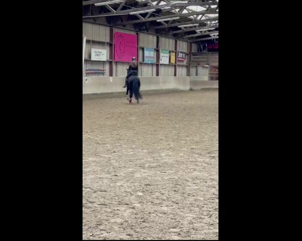 Video von Amy