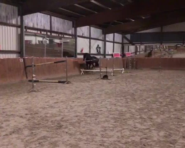 Video von Amy