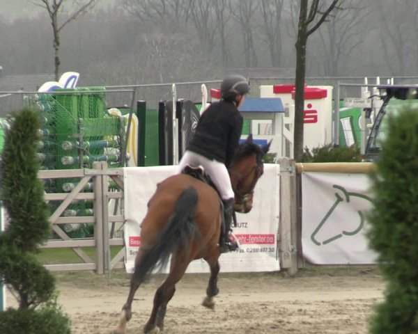 Reitturnier Werne-Lenklar 2023