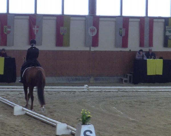 Reitturnier Weikersdorf 2023