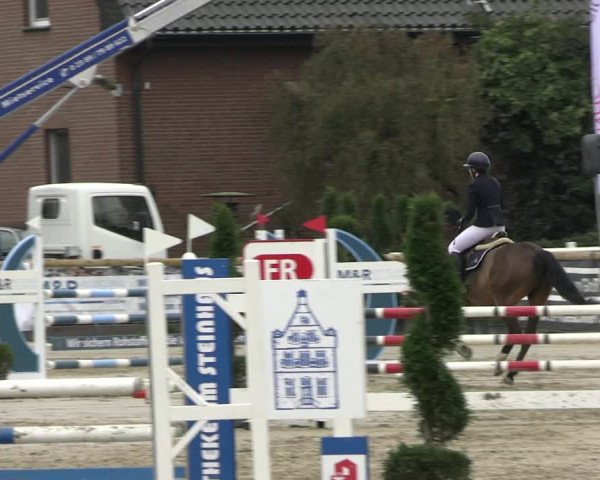 Reitturnier Werne-Lenklar 2023