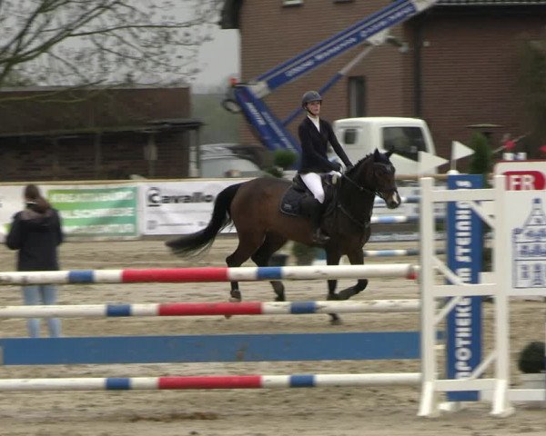 Reitturnier Werne-Lenklar 2023