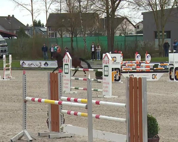 Reitturnier Grafenrheinfeld/Ufr. 2023