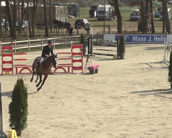 Reitturnier Westergellersen 2023