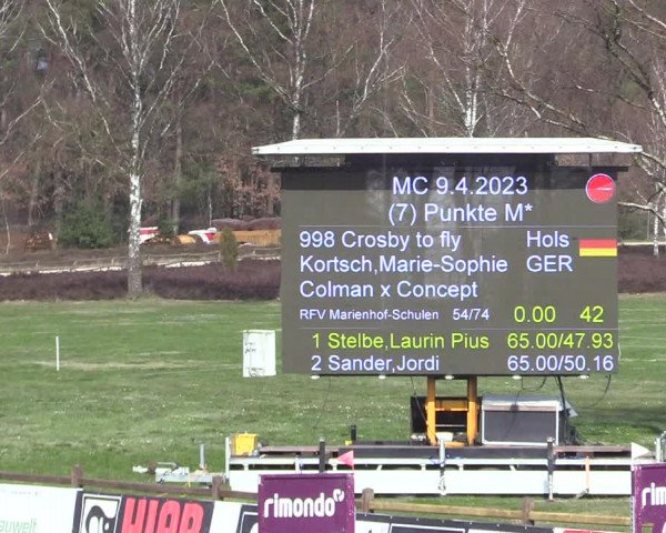 Reitturnier Westergellersen 2023