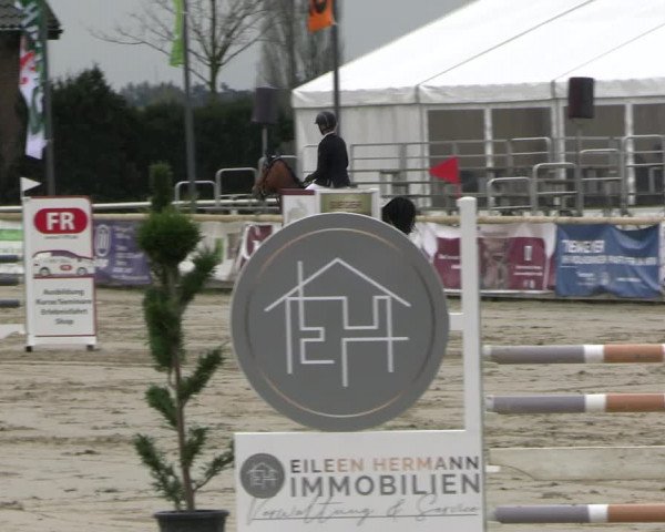 Reitturnier Werne-Lenklar 2023