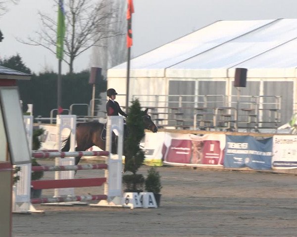 Reitturnier Werne-Lenklar 2023