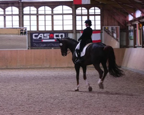 Reitturnier Elisenau 2023