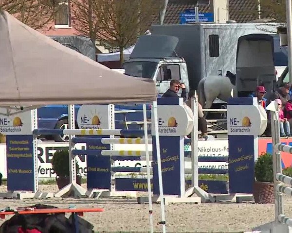 Reitturnier Grafenrheinfeld/Ufr. 2023