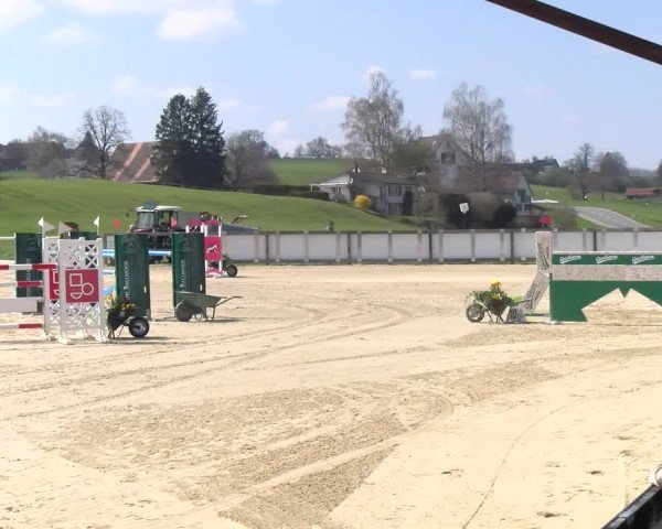 Reitturnier Wädenswil 2023
