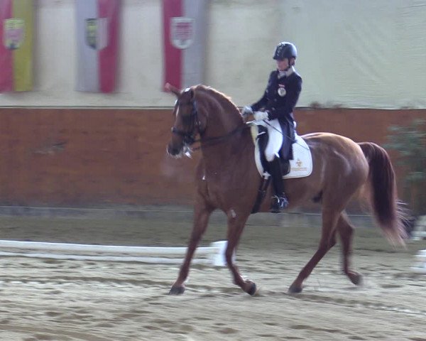 Reitturnier Weikersdorf 2023