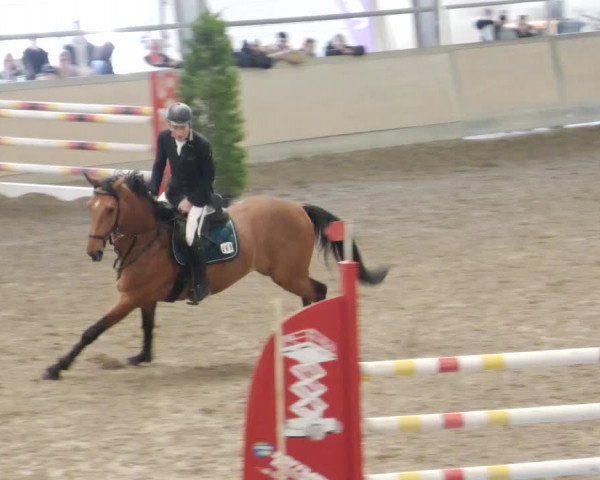 Reitturnier Waghäusel-Wiesental 2023